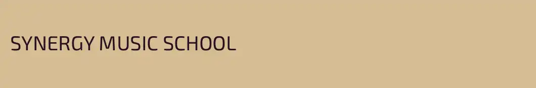SYNERGY MUSIC SCHOOL